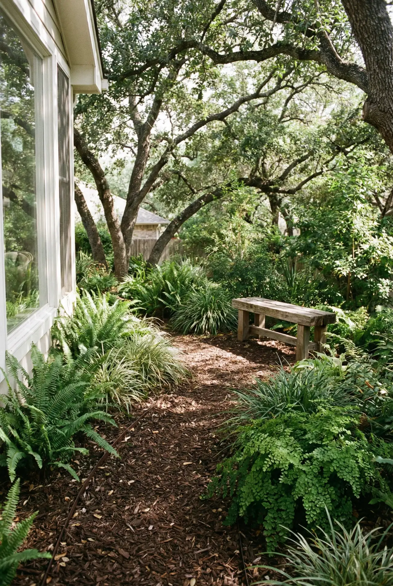 California Natural Shade Garden With Easy Mulch Paths 1