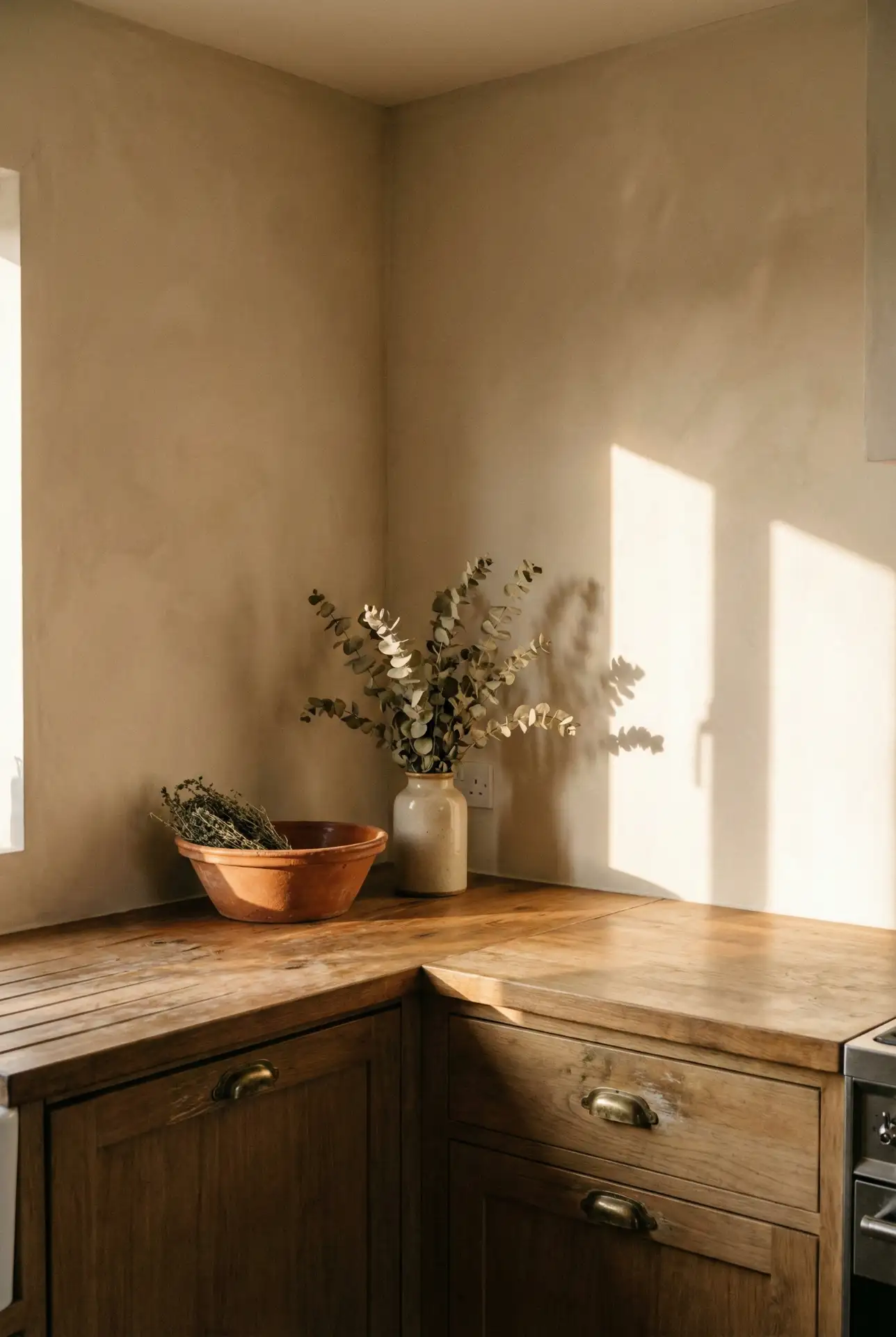 Earthy Clay Beige That Loves Wood Grain 2