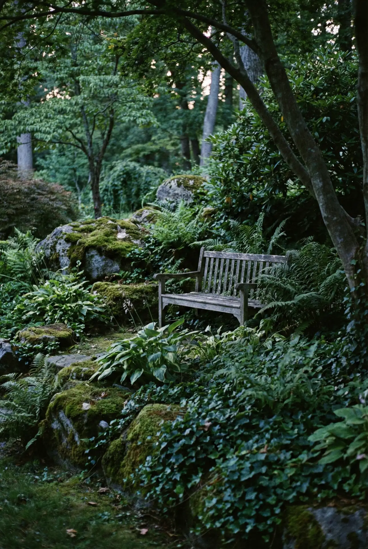 Enchanting Witch-Inspired Courtyard Garden 2