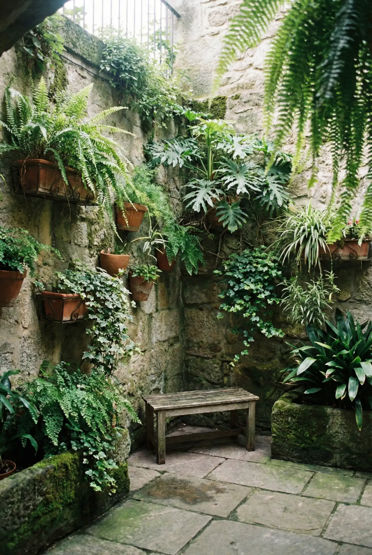 Enclosed Courtyard Vertical Shade Garden 2