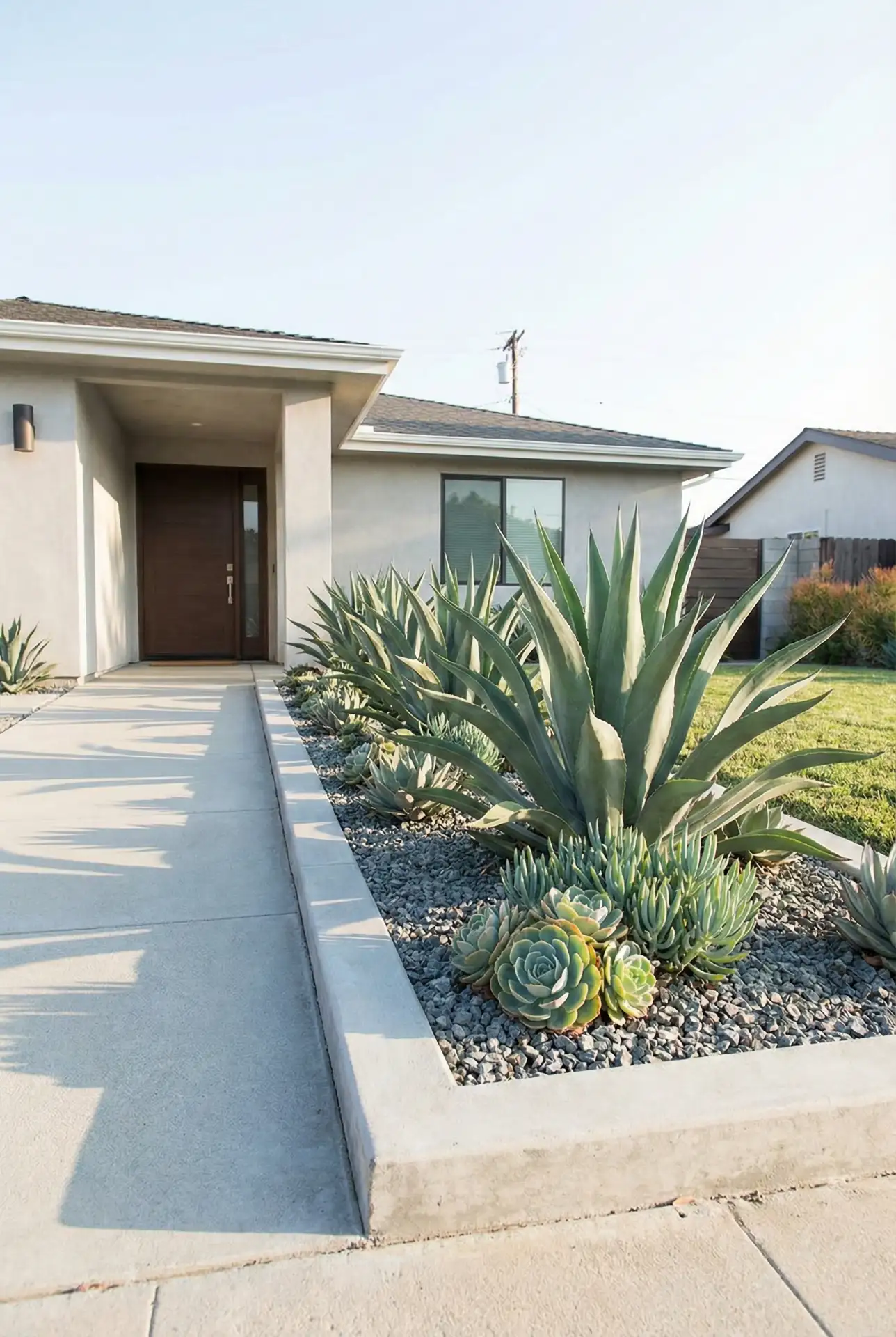 Modern Front Yard Succulent Border 1