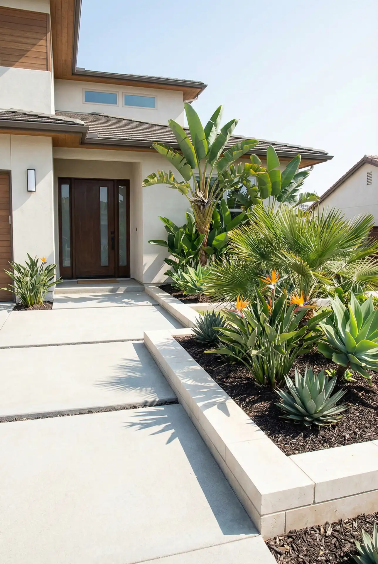 Modern Tropical Front Yard Entry Frame 1