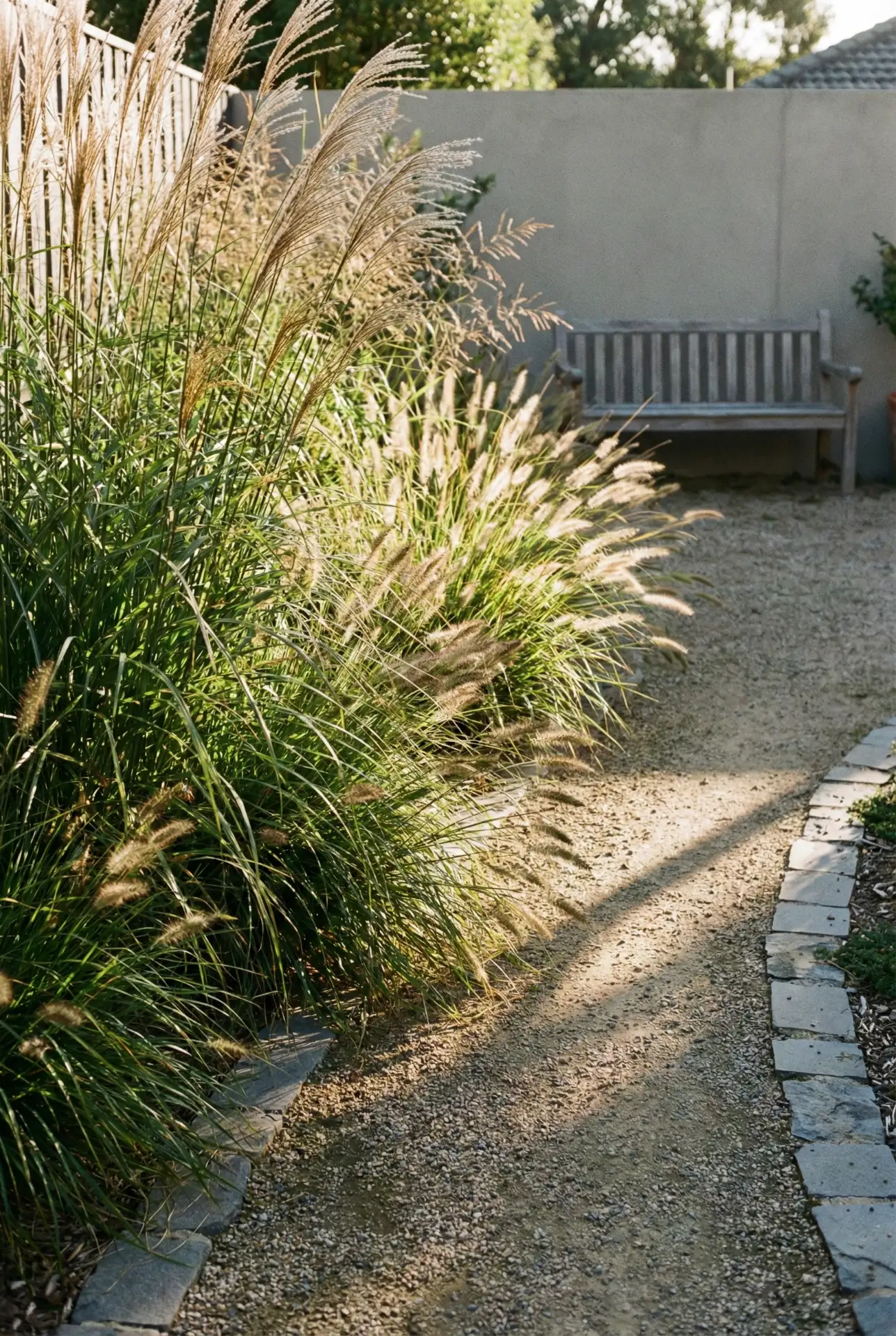 Natural Meadow Border Around A Clean Lawn 1