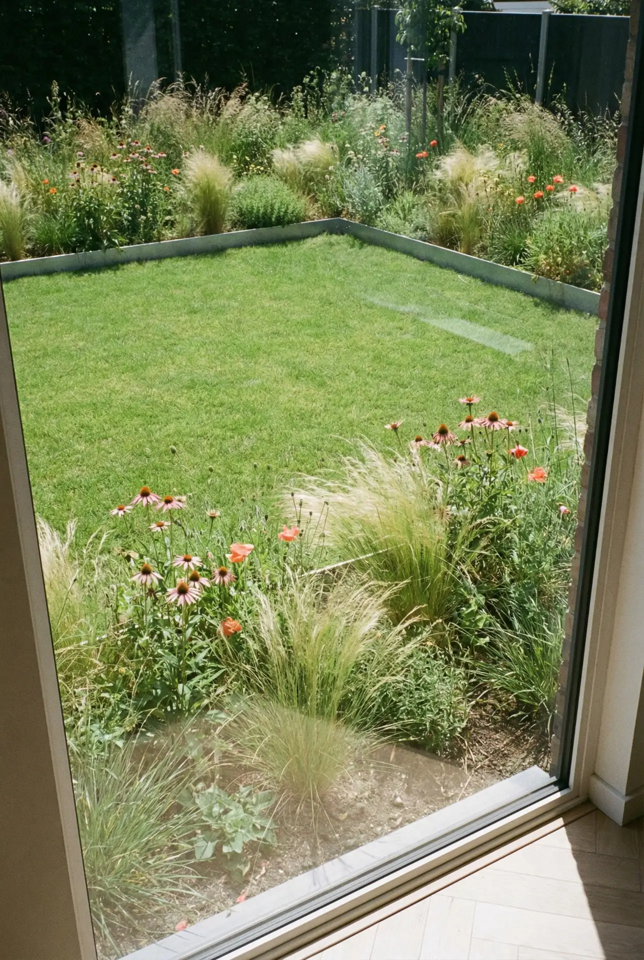 Natural Meadow Border Around A Clean Lawn 2