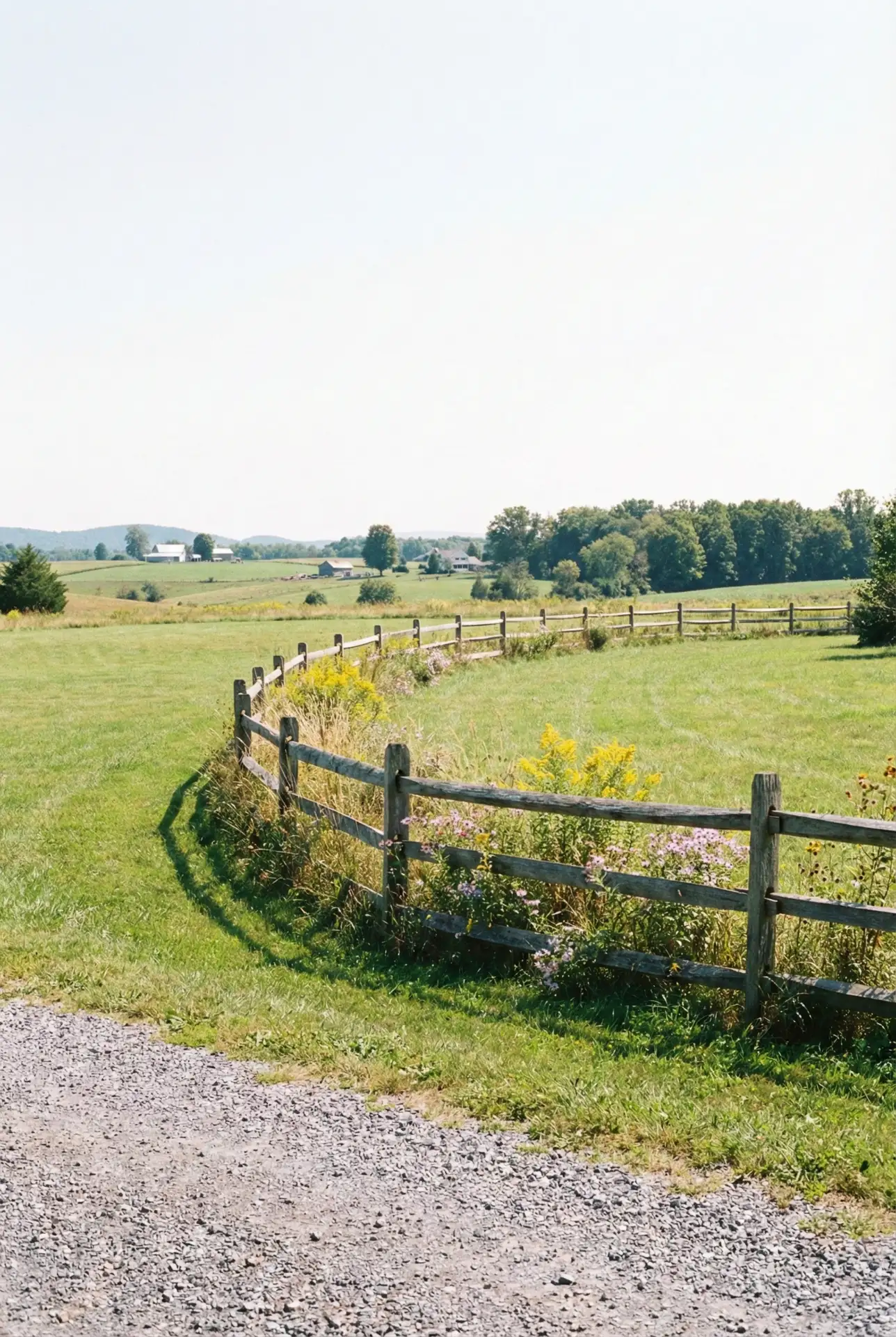 Natural Split Rail Perimeter 1