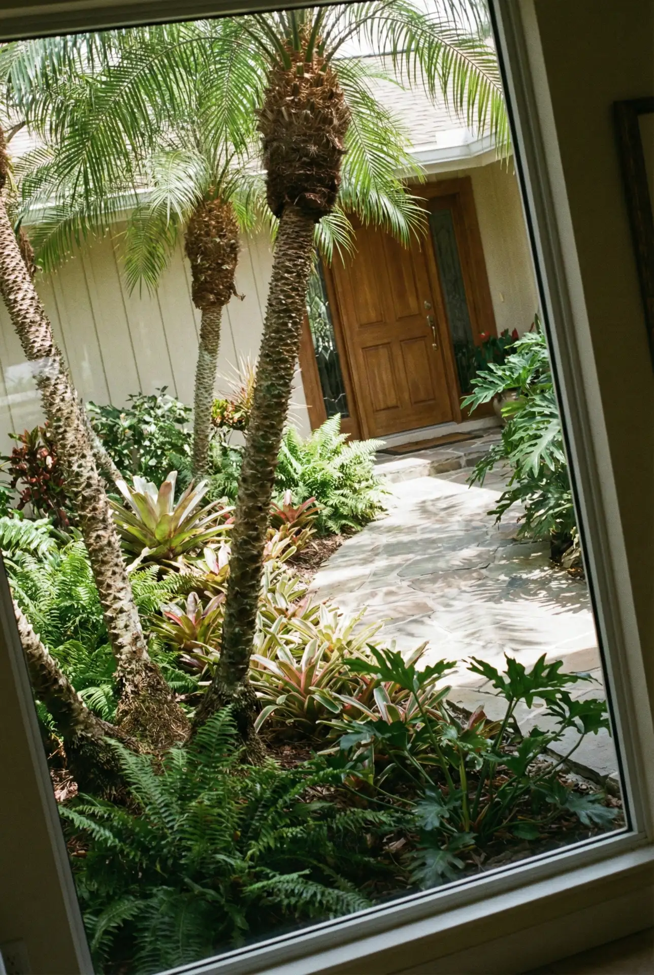 Palm Tree Landscape With Florida-Style Greenery 2