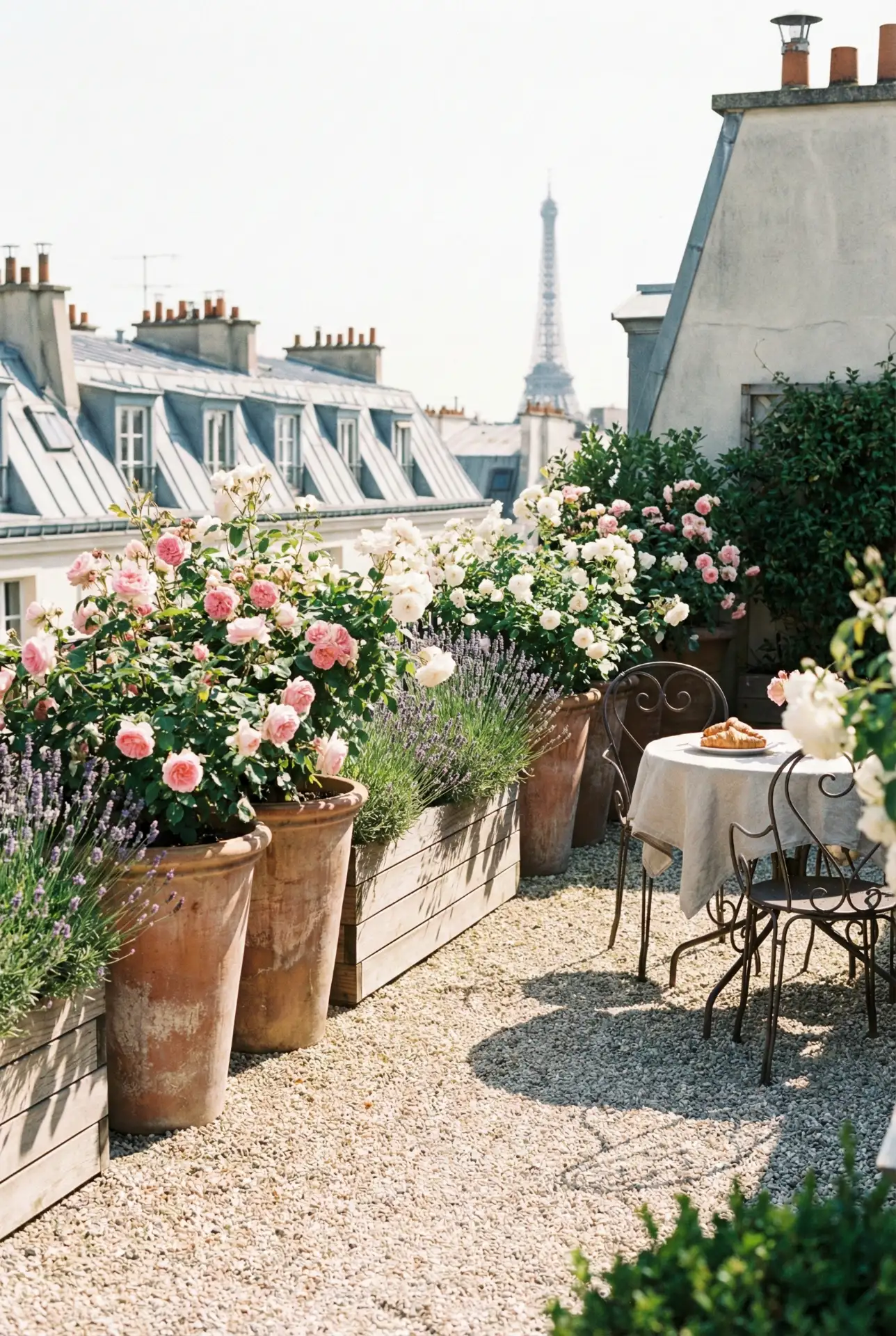 Rooftop French Rose Container Garden 1