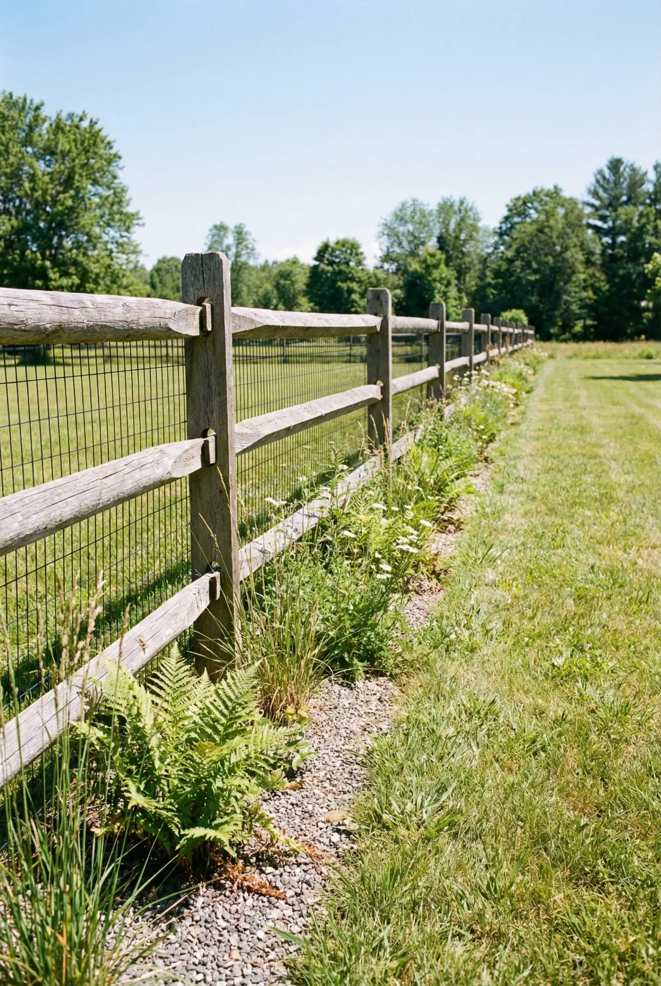 Rustic Split Rail With Wire For Safer Pets 1