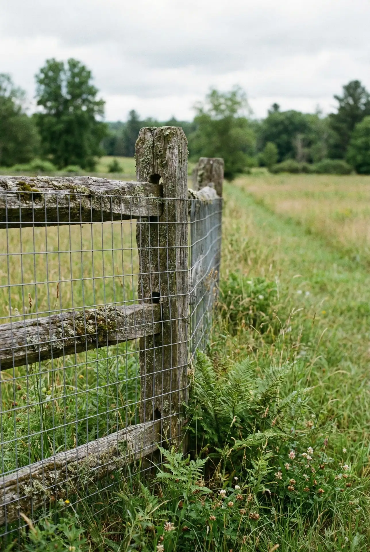 Rustic Split Rail With Wire For Safer Pets 2