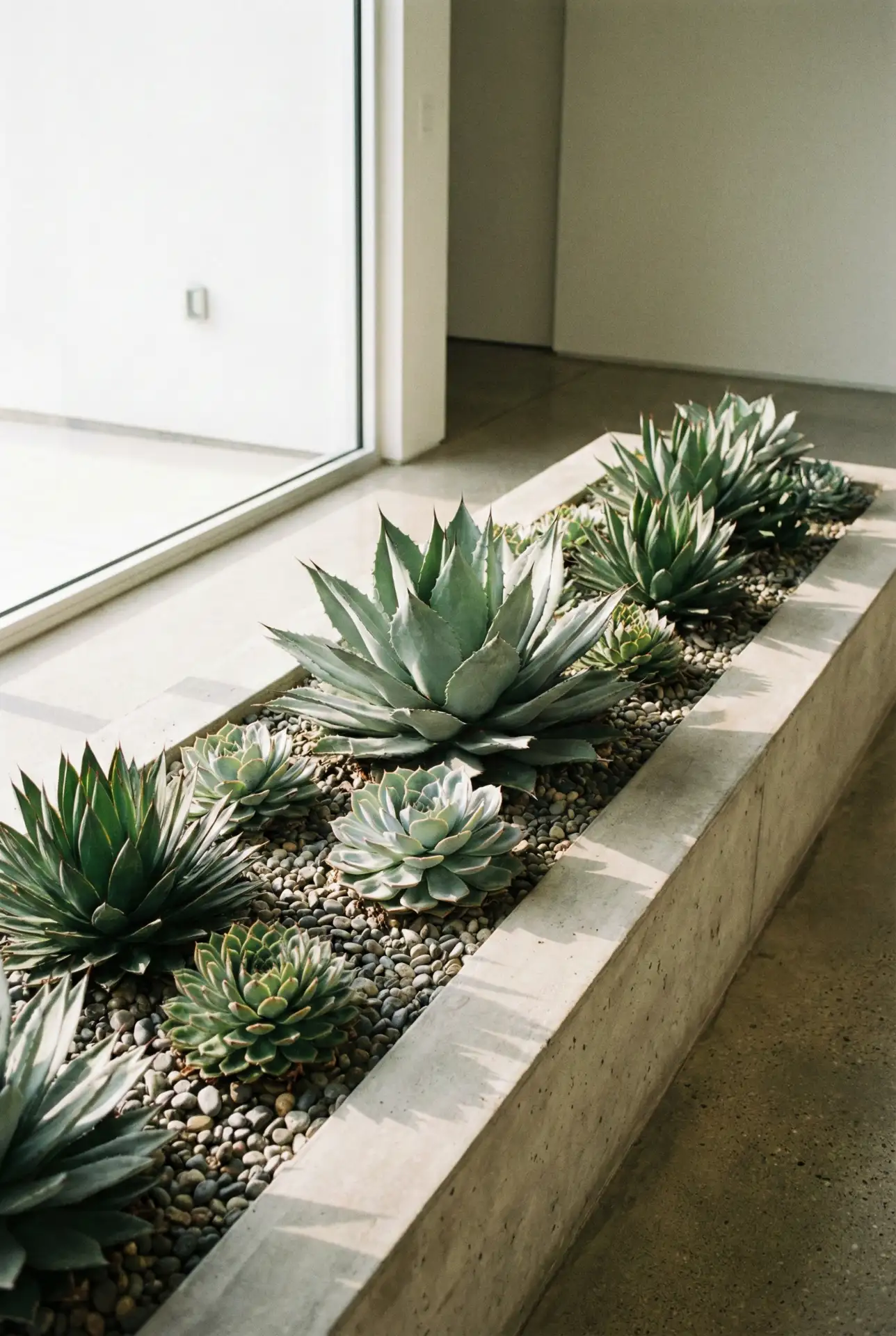 Sculptural Succulent Modern Beds 1