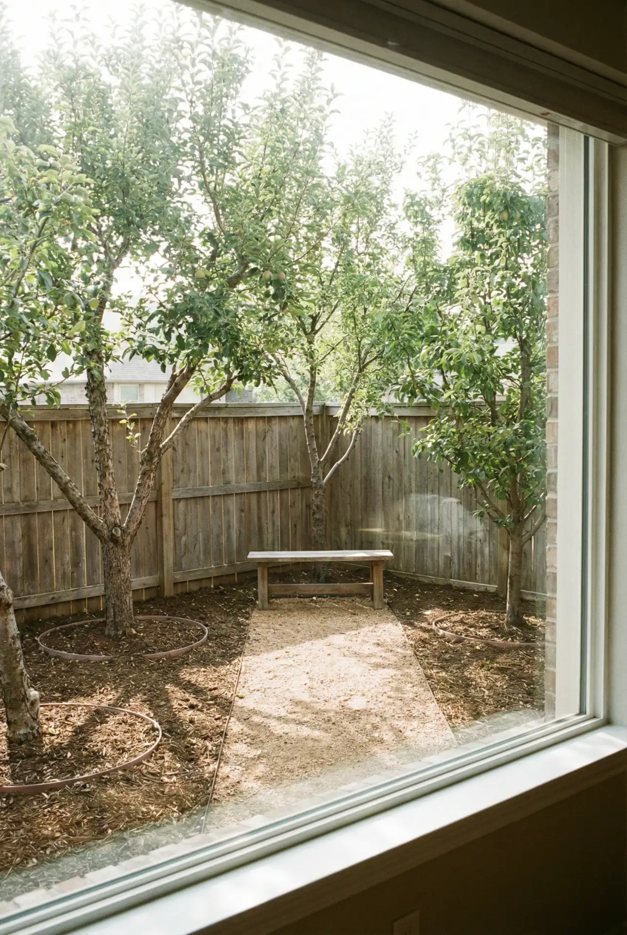 Simple Backyard Orchard Fence With Clean Ground Plane 1