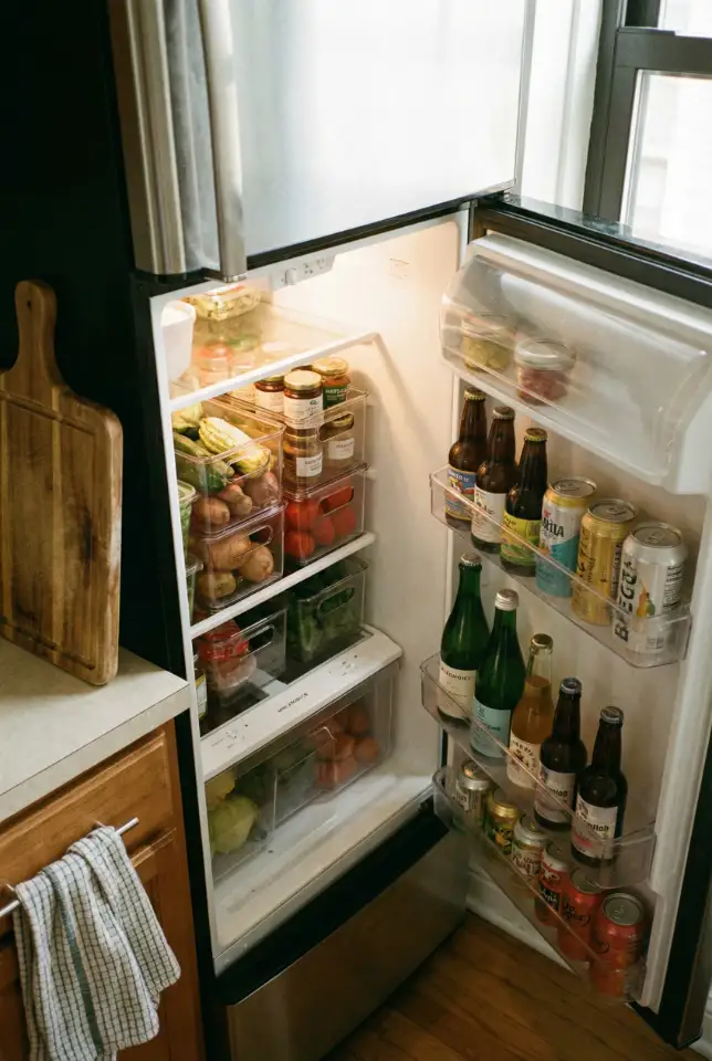 Tiny Fridge System Using Vertical Bins and Micro Categories 2