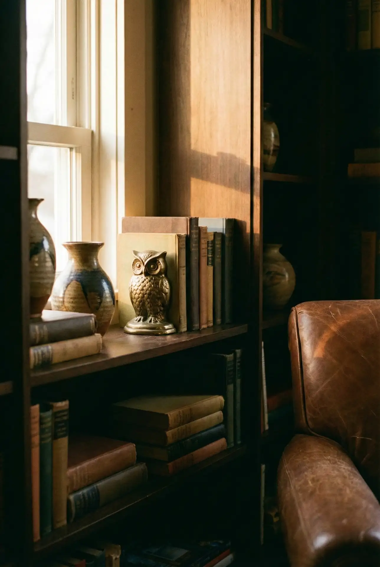 Cozy Dark Library With Matte Black Shelves And Brass Accents 1