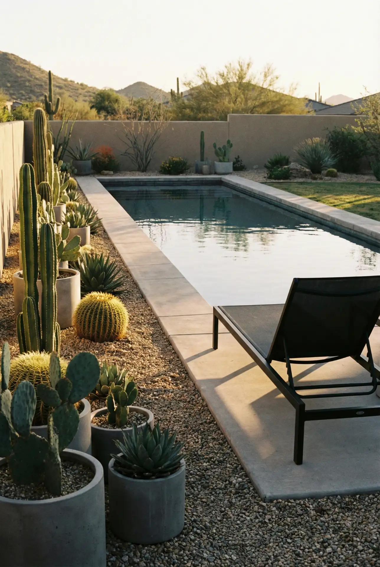 Desert Gravel Garden With Sculptural Succulents 2