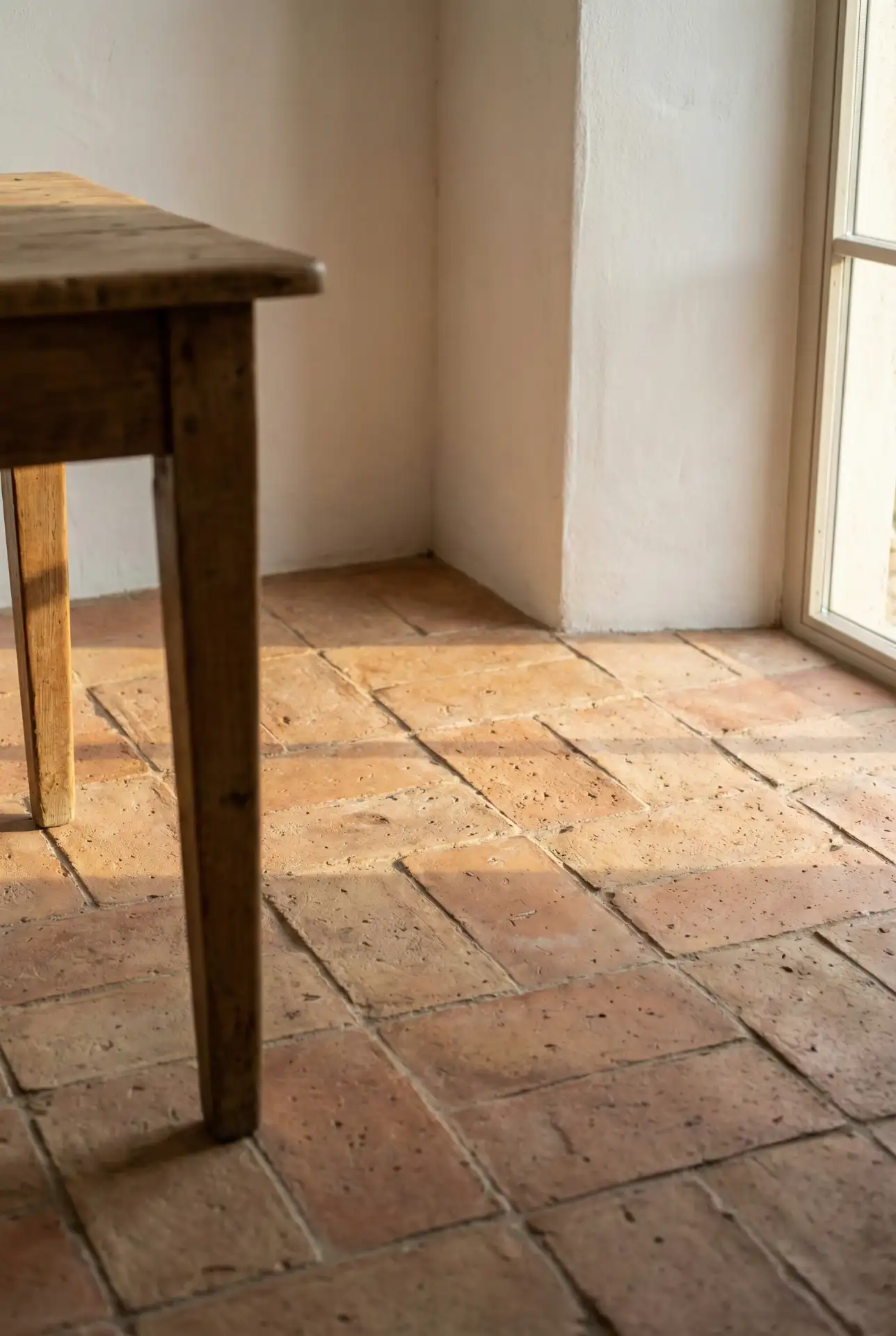 Earthy Terracotta Warmth 2