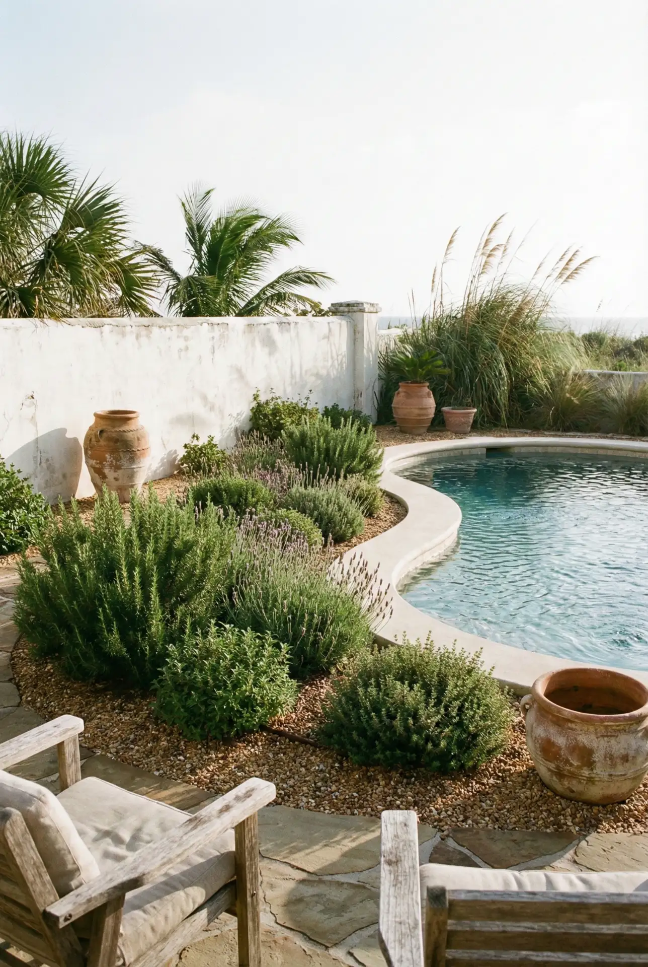 Mediterranean Courtyard Border With Fragrant Herbs 2