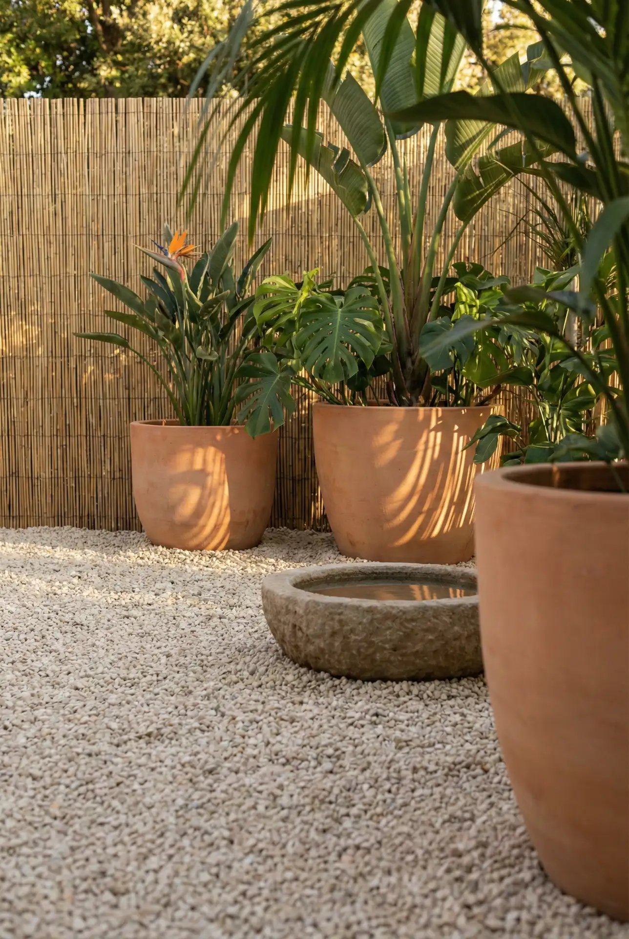 Tiny Zen Gravel Garden With Tropical Planters 1