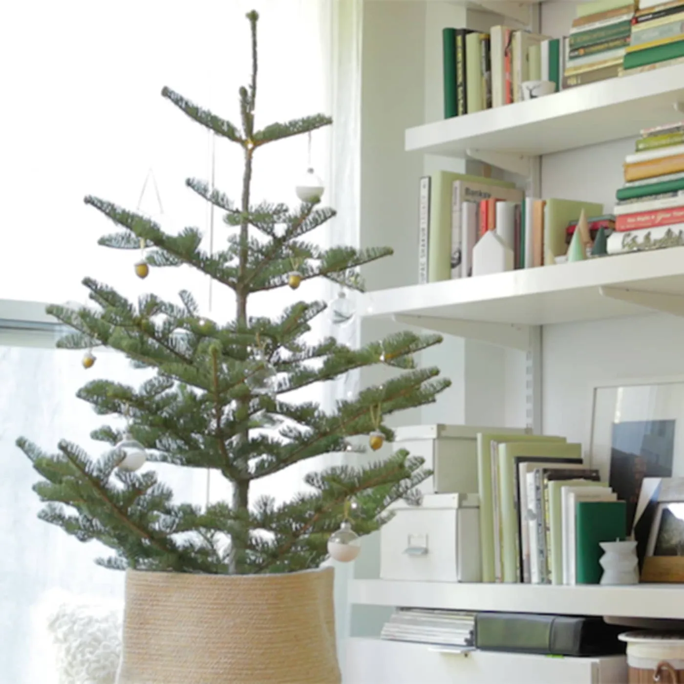 12 Minimalist Christmas Tree Ideas for Every Type of Home | Apartment  Therapy