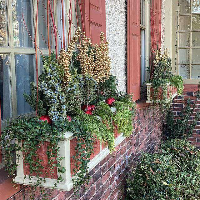 13 Winter Window Box Ideas With Loads of Curb Appeal