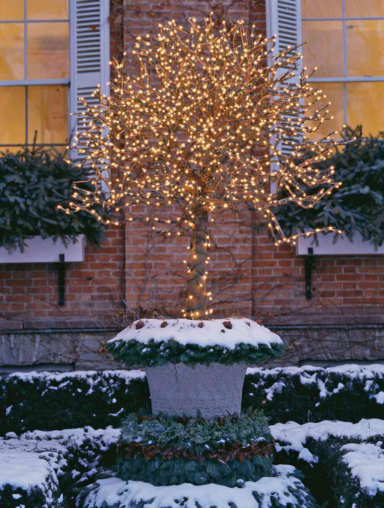 14 Winter Planter Ideas for Holiday Cheer