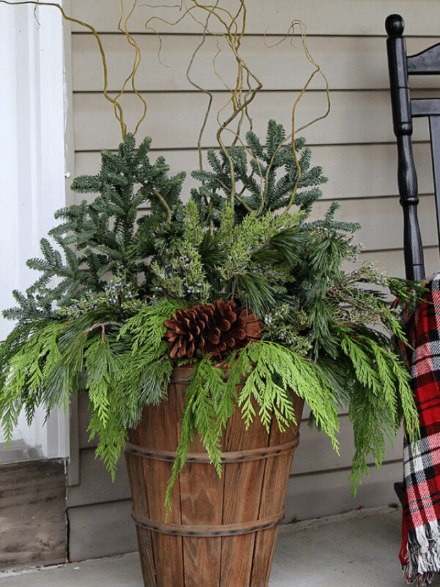 20 BEAUTIFUL WINTER PLANTER IDEAS story