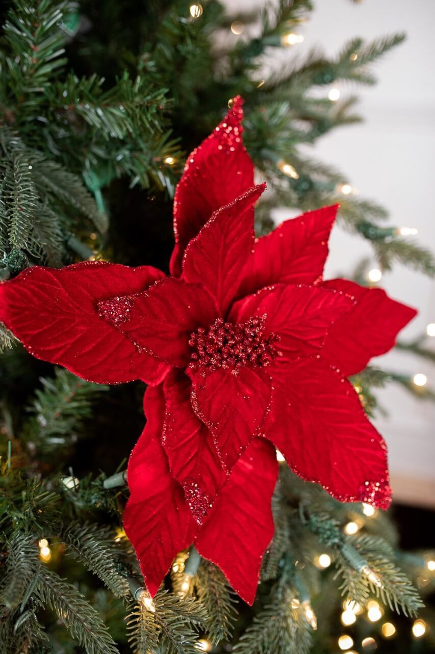 22” x 15' Velvet Glitter Poinsettia Stem - Red