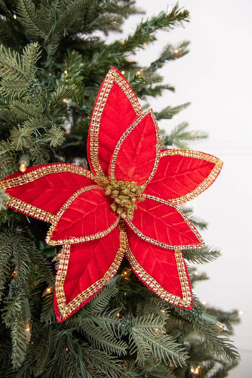 24” x 12' Velvet Jewel Edge Gold Trim Poinsettia Stem