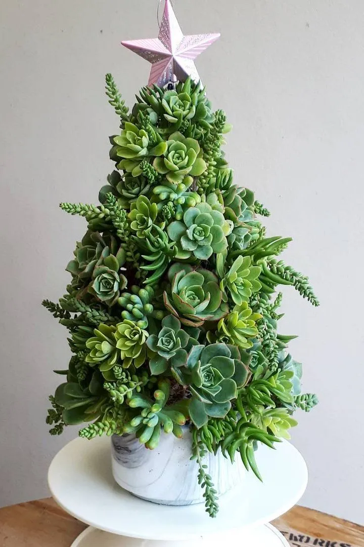 25+ Creative and modern alternative Christmas tree ideas