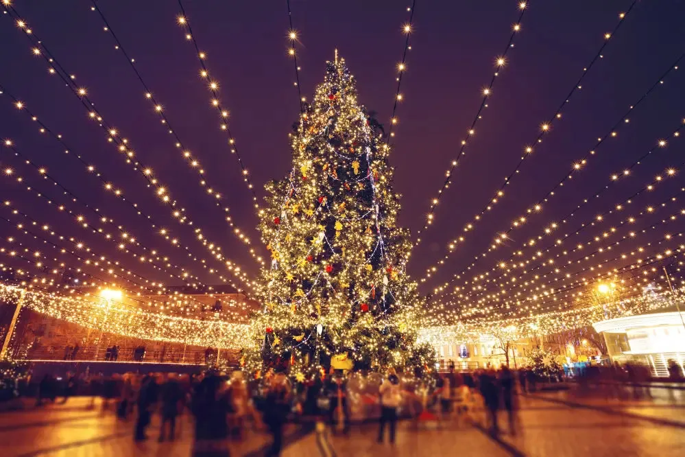 5 Amazing Christmas Lights Ideas for an Outdoor Tree – Ollny