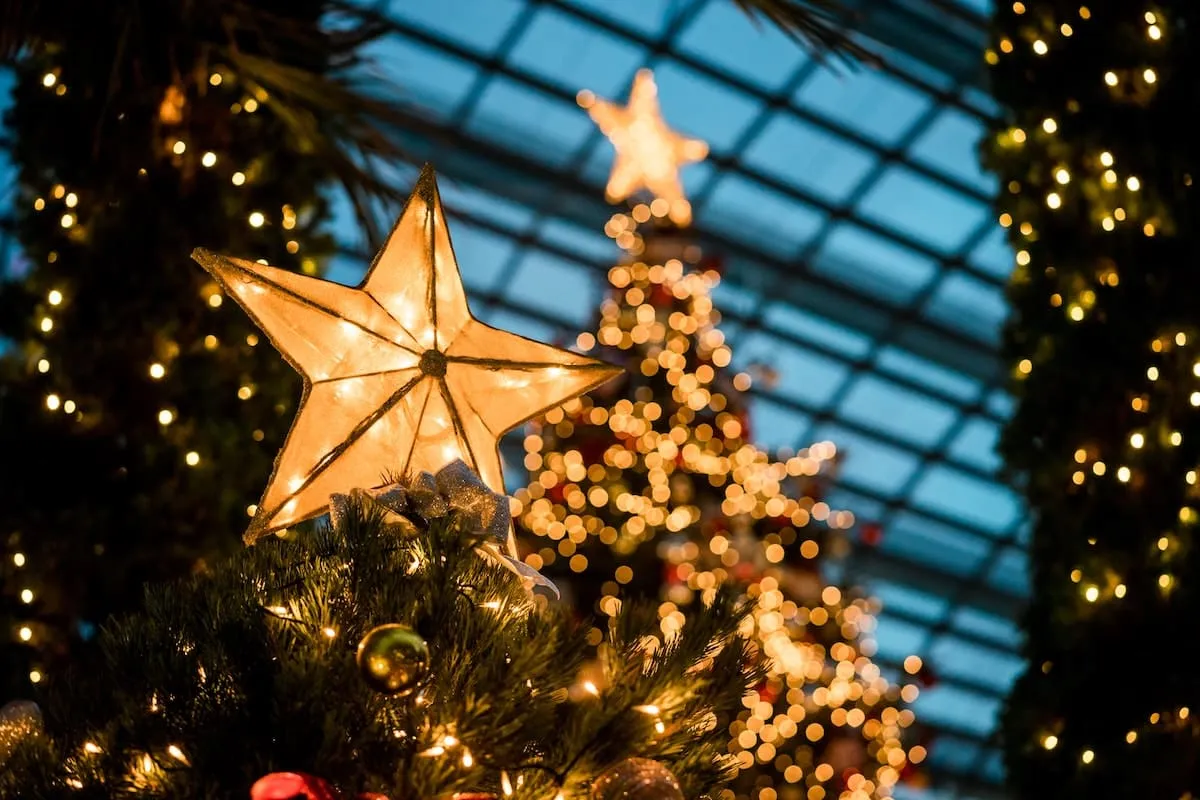 5 Stunning Seattle Christmas Trees To View This Holiday Season