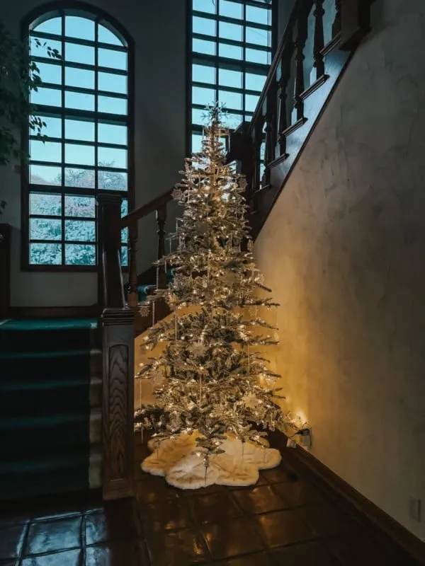 500-750 Lights Christmas Trees - Designer Picks | Foter