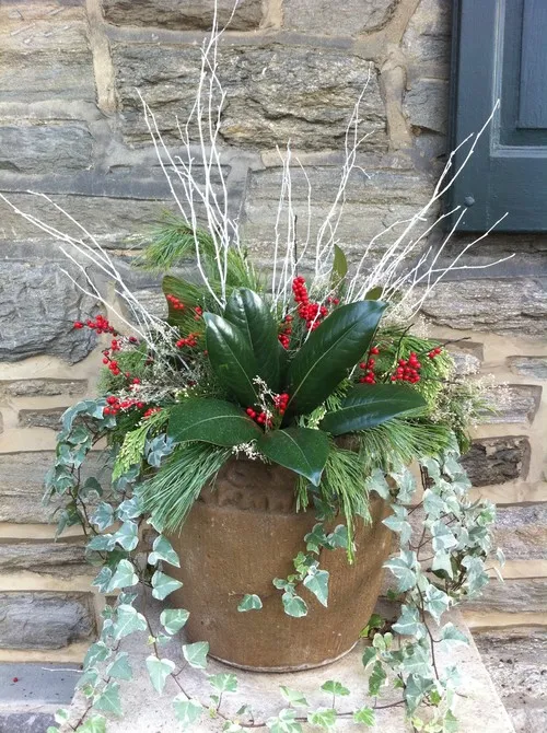 8 Festive Ideas for Winter Container Gardens