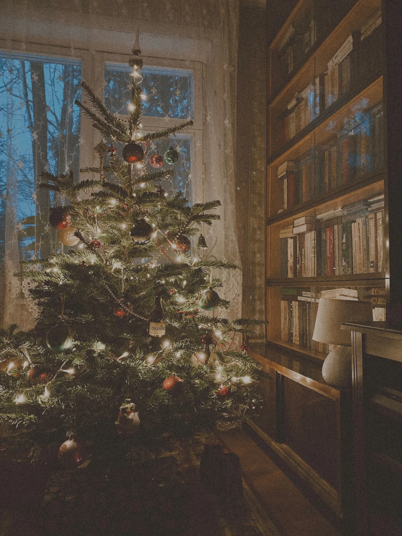 A beautifully decorated Christmas tree in a cozy library with book-lined shelves.
