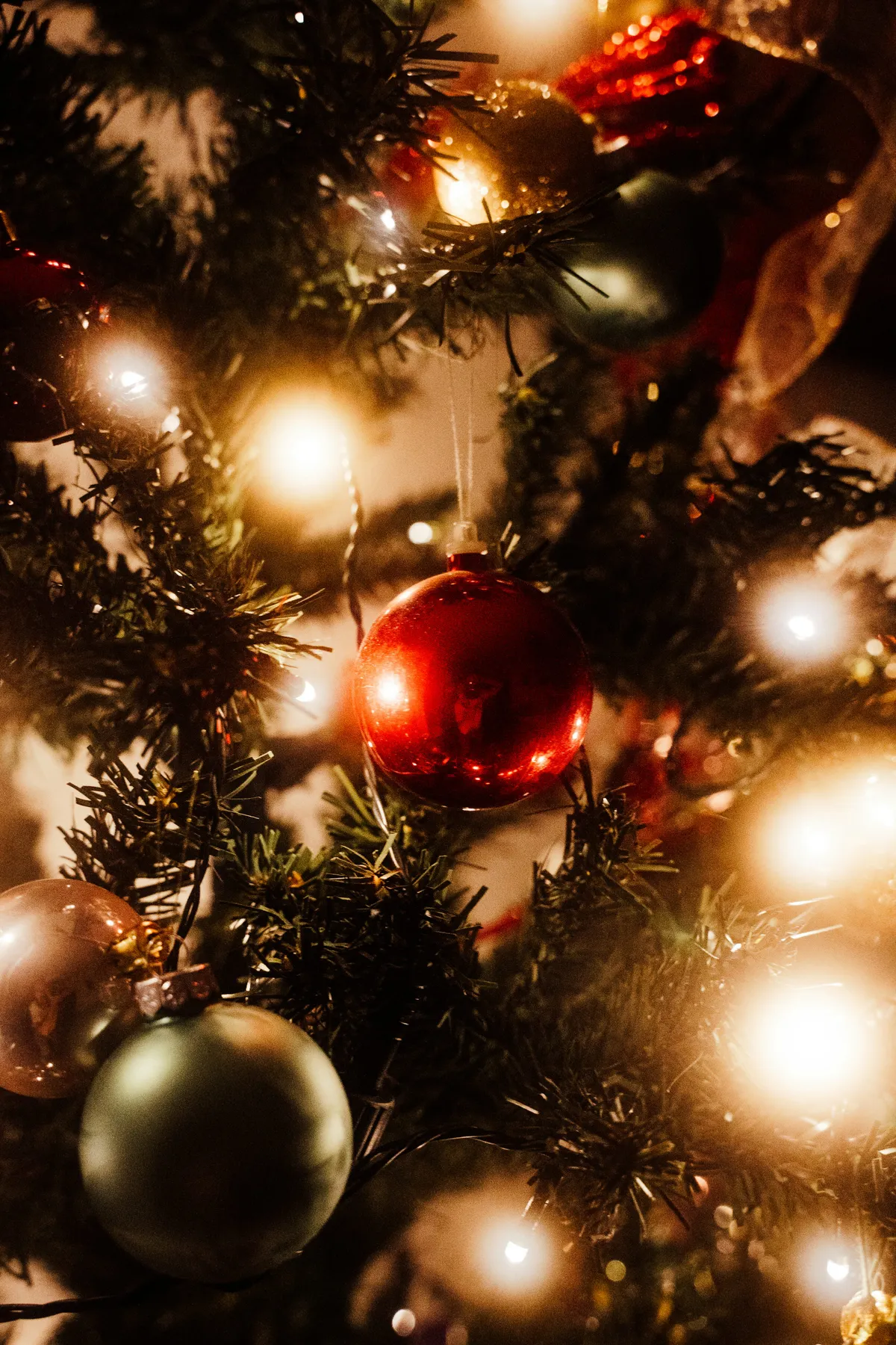A close up of a christmas tree with ornaments - Free Photo on Unsplash