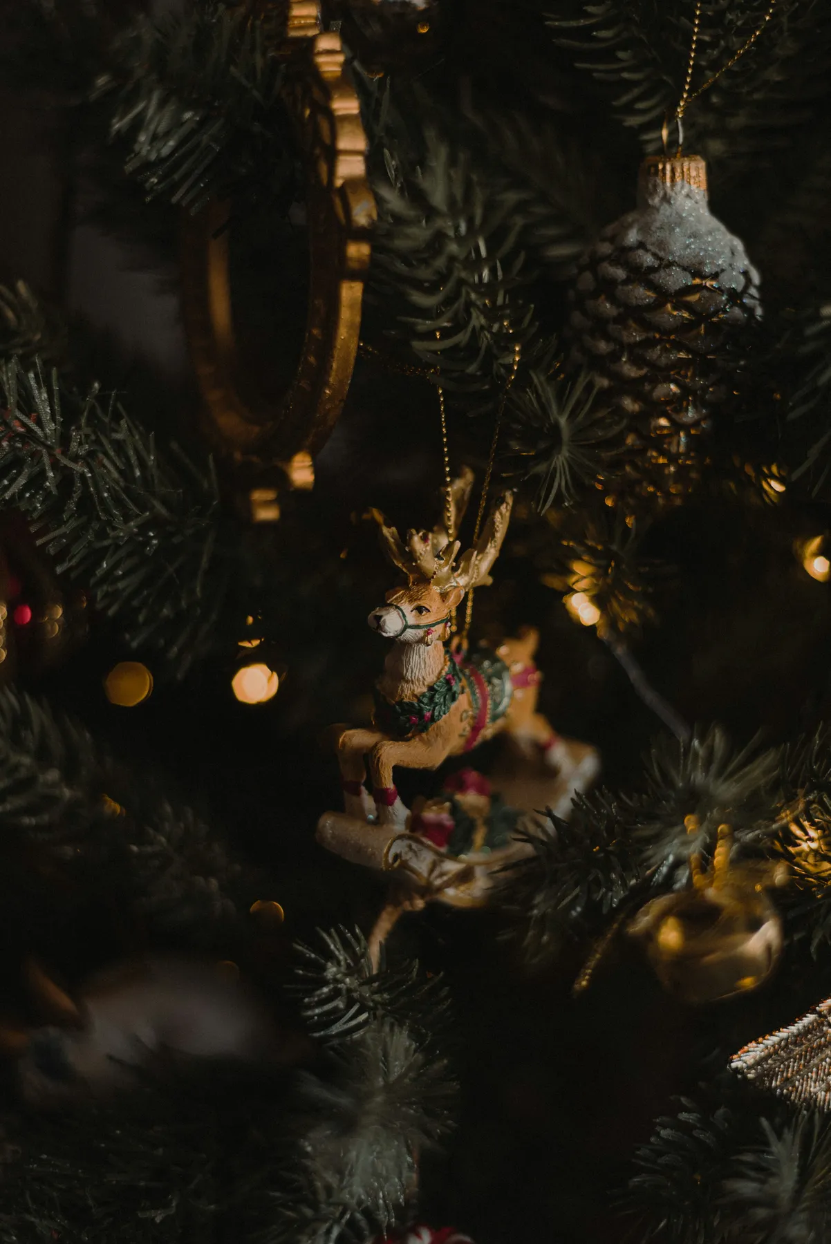 A close up of a christmas tree with ornaments - Free Photo on Unsplash