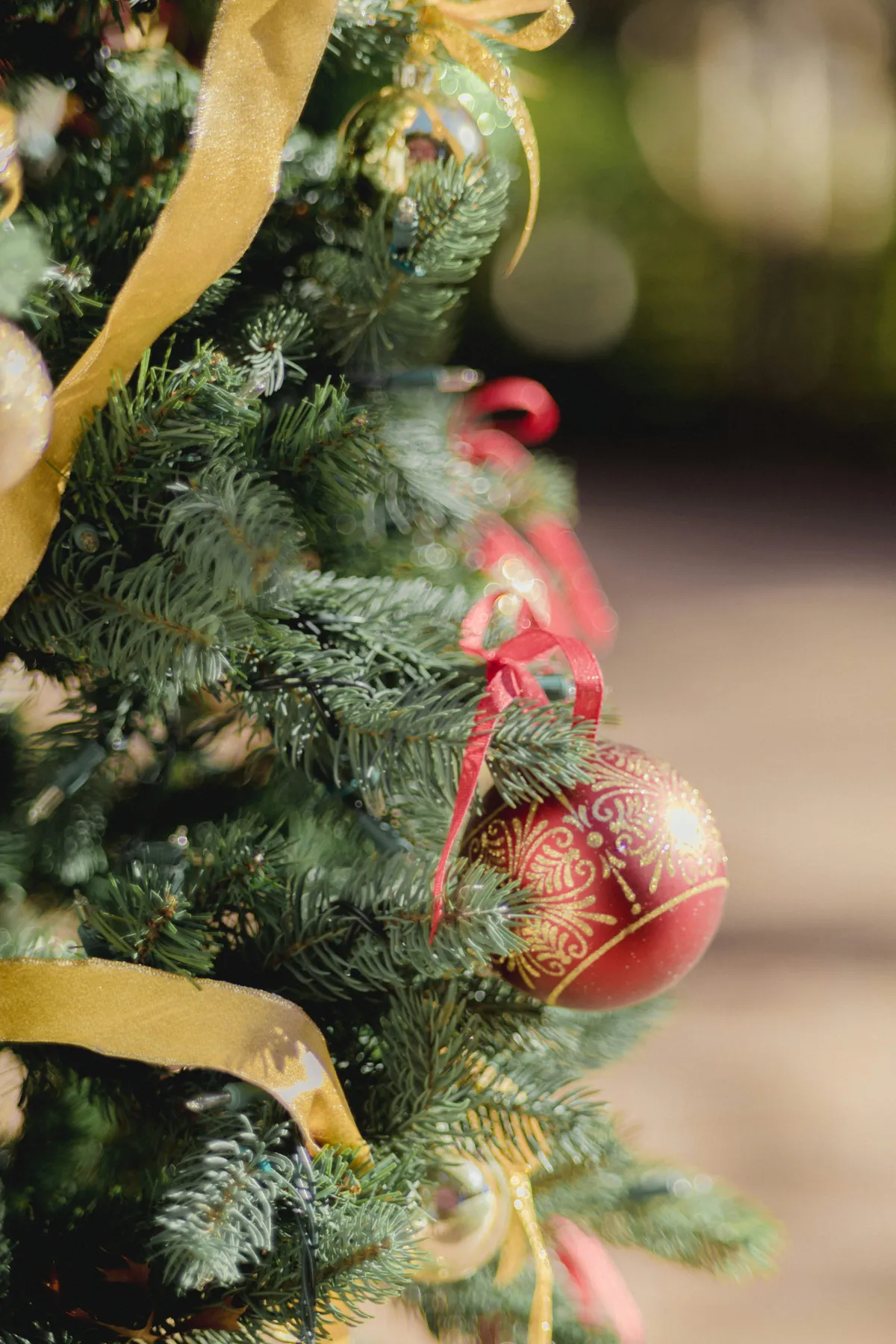 A close up of a christmas tree with ornaments - Free Photo on Unsplash