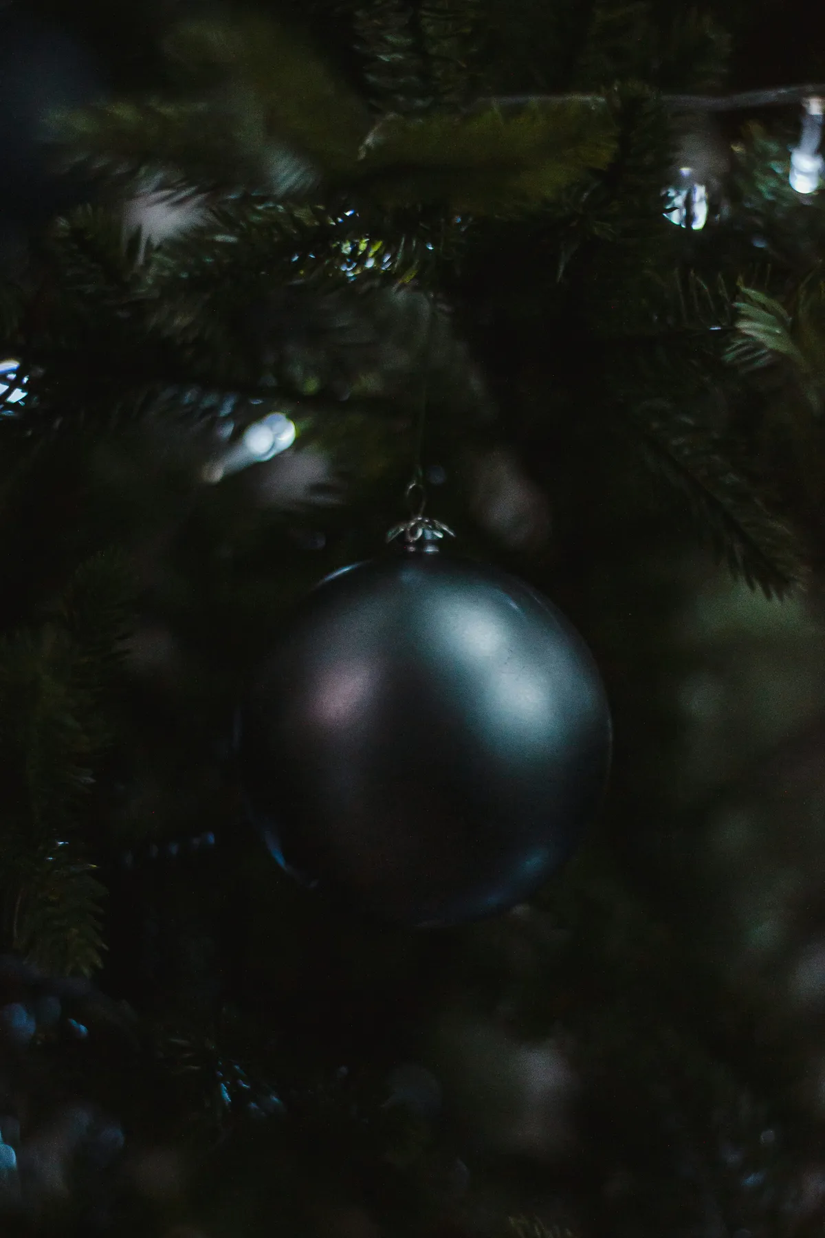A dark ornament hung on a christmas tree - Free Photo on Unsplash