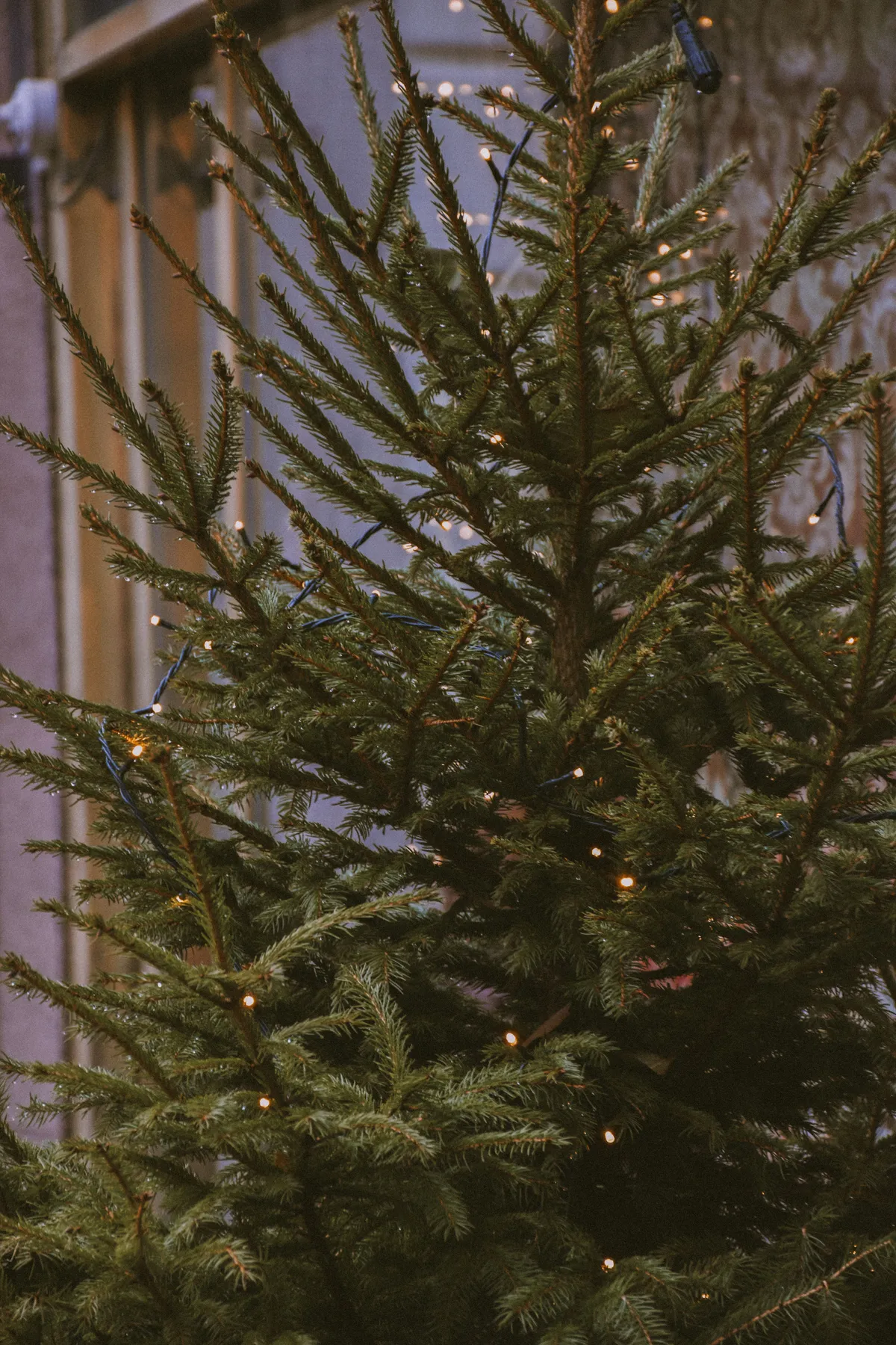 A festive Christmas tree adorned with sparkling lights, capturing the holiday spirit indoors.