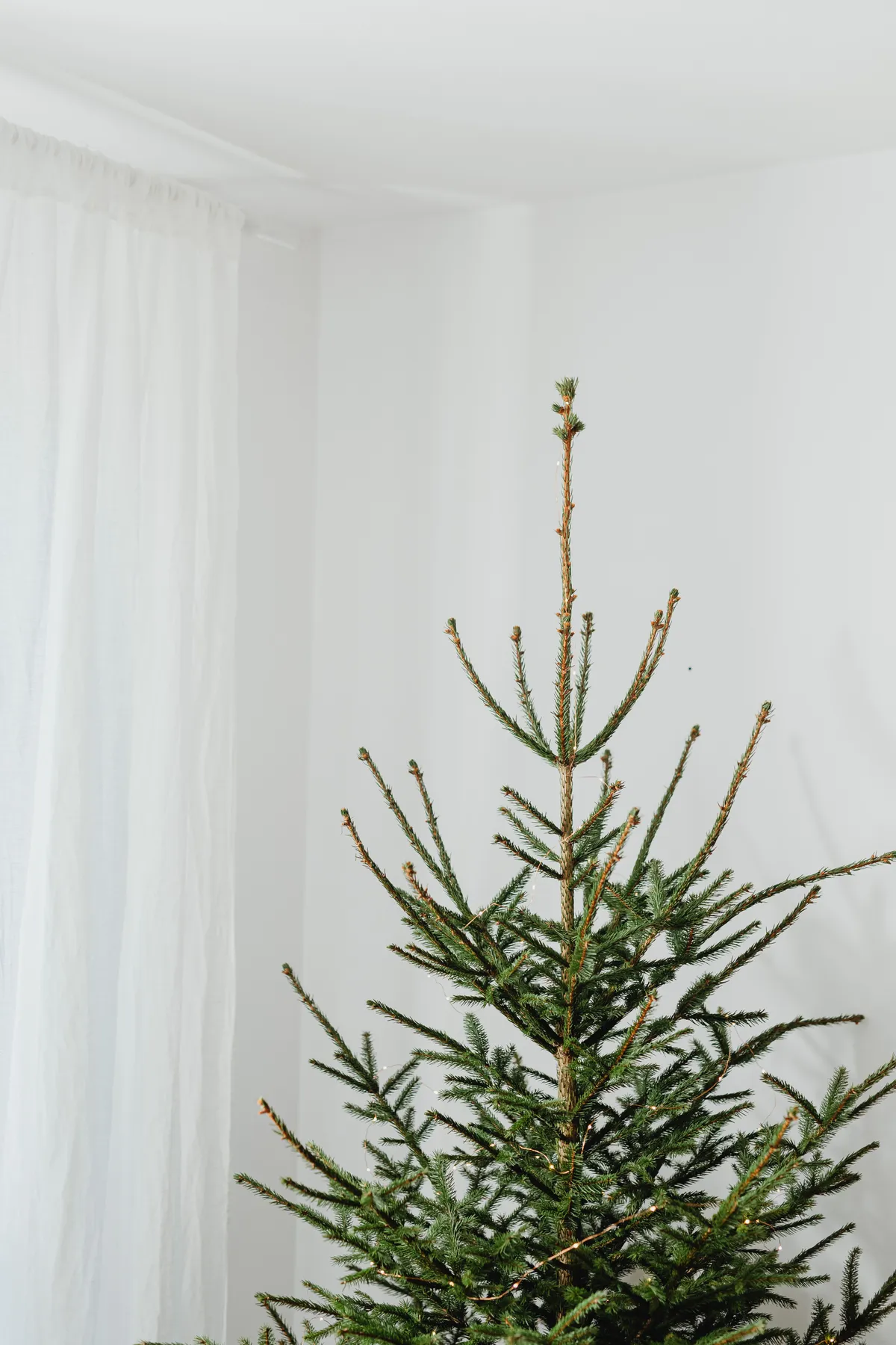 A minimalist Christmas tree stands in a bright white room, evoking festive simplicity.