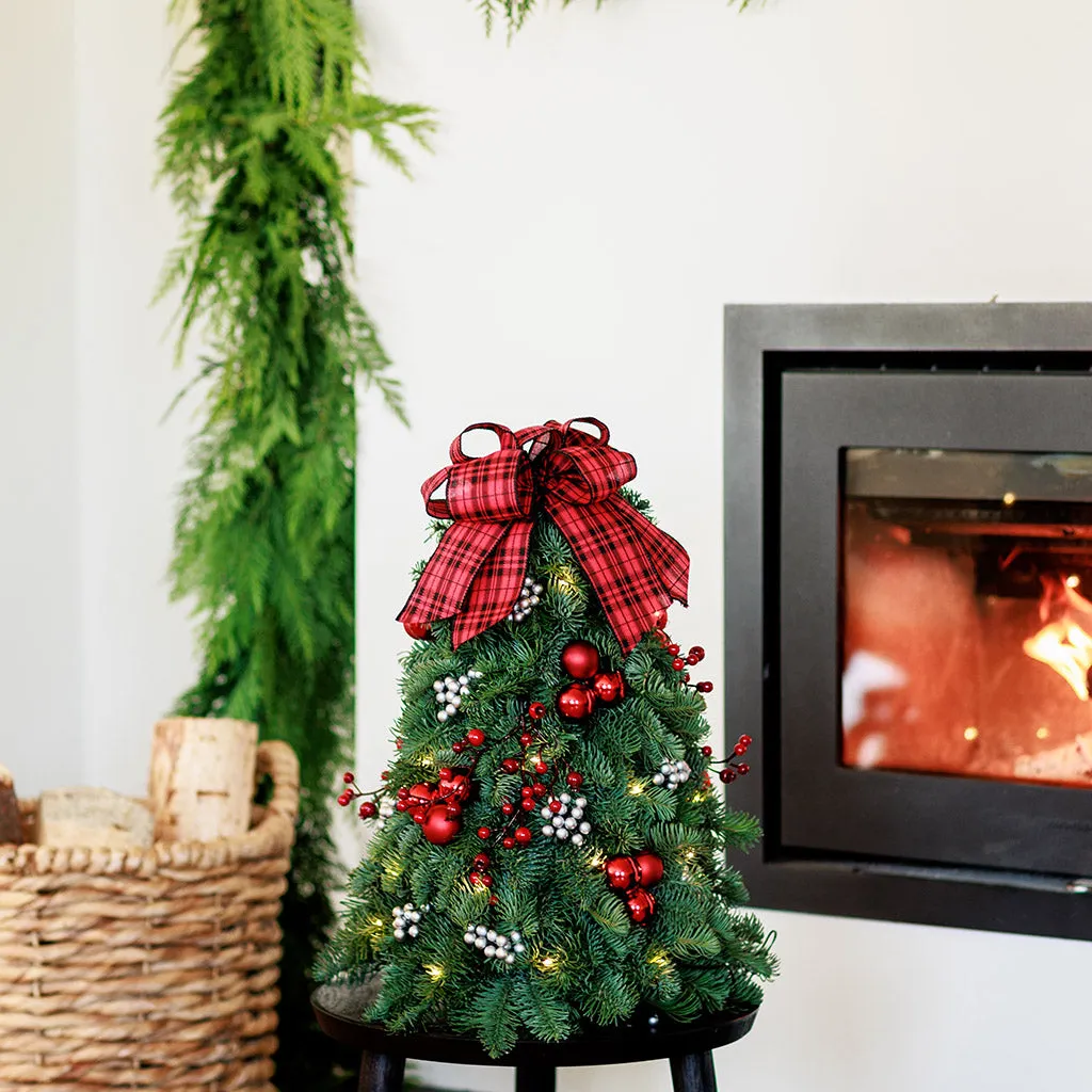 Add a Sparkle To Your Holiday With Our Small Lighted Christmas Trees – Lynch Creek Farm