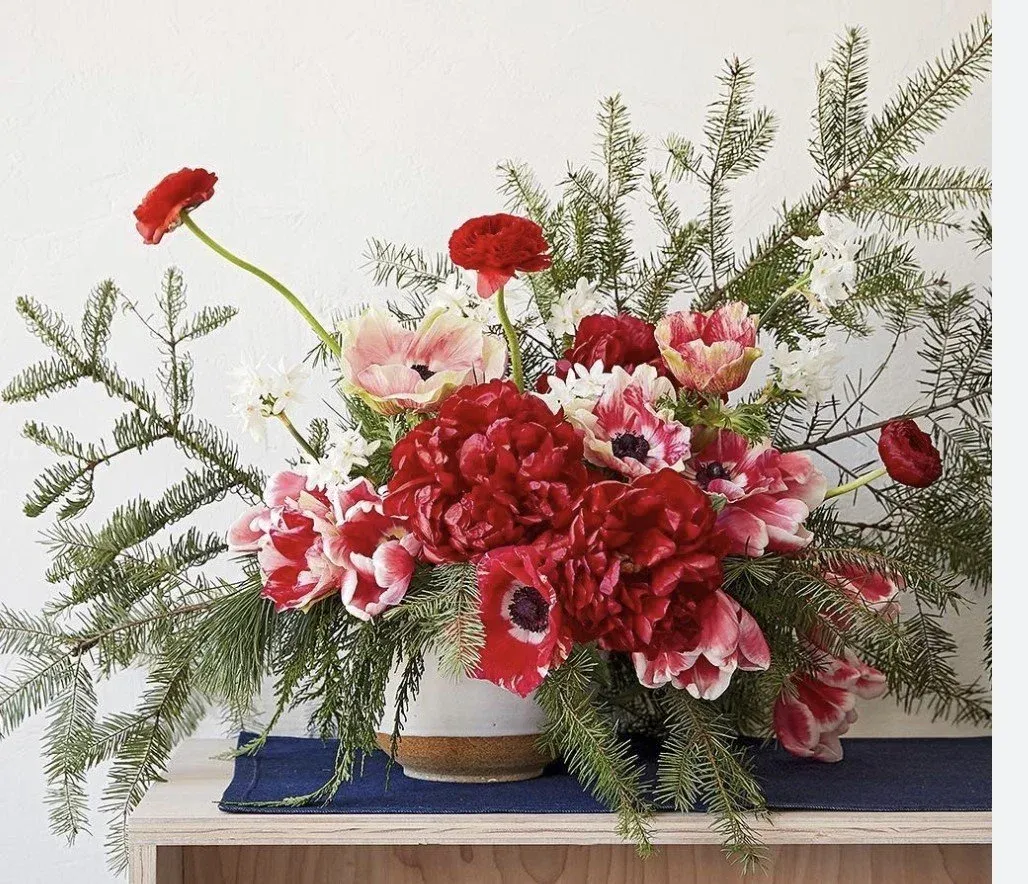 Beautiful Holiday Flowers that are Sure to Impress! — The Nature of Things