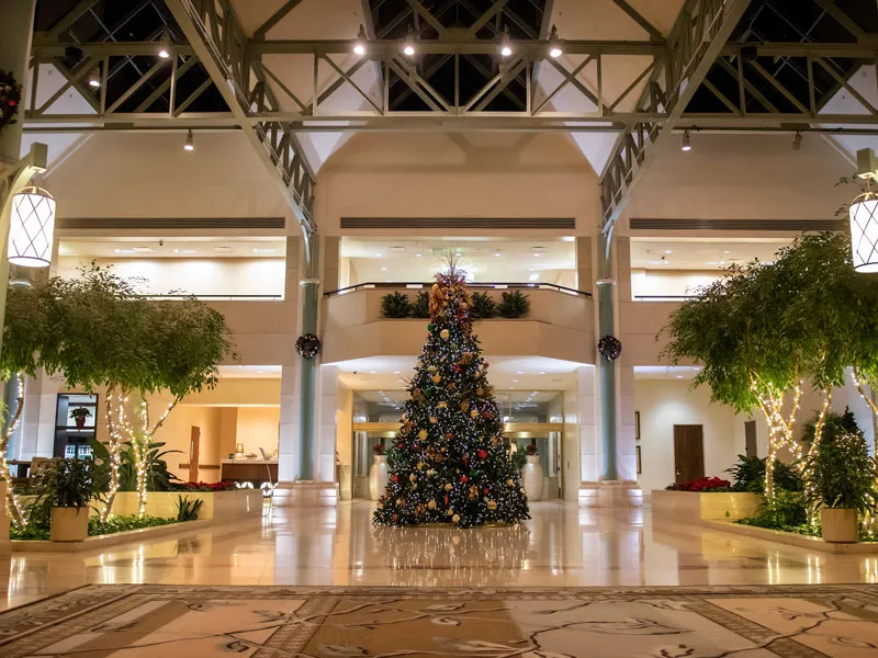 Bellaire Christmas Lighting Installation