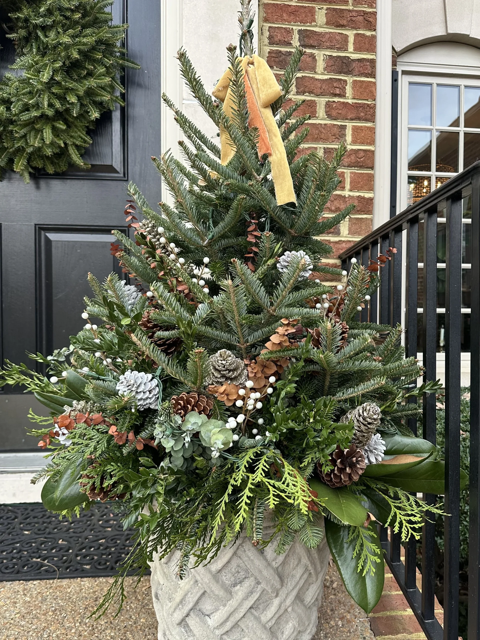 Botanical Christmas Decor: Fresh Ideas with Greenery, Plants, and More! —  Contained Creations
