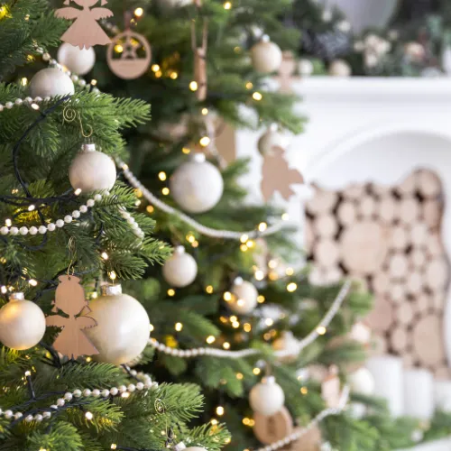 Cardinale & Wright Christmas Tree's – Cardinale & Wright Christmas Tree's