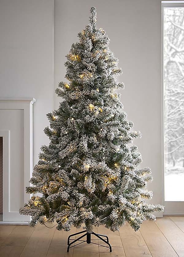 Chic Living Flocked Sugar Pine Pre-Lit Christmas Tree 5ft - 7ft | bonprix