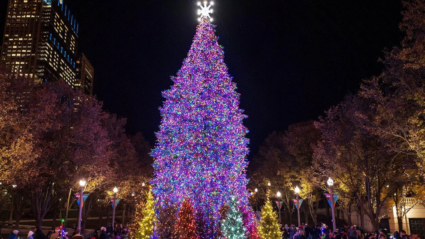 Chicago's Looking for Its Next Official Millennium Park Christmas Tree.  Think You've Got What It Takes? | Chicago News | WTTW