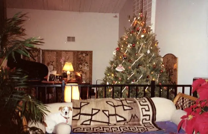 Christmas Day in New York | New York Social Diary