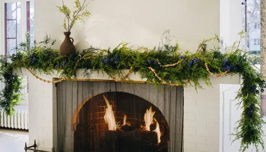 Christmas Greenery: Pine, Juniper, Cedar, or Spruce? – Afloral