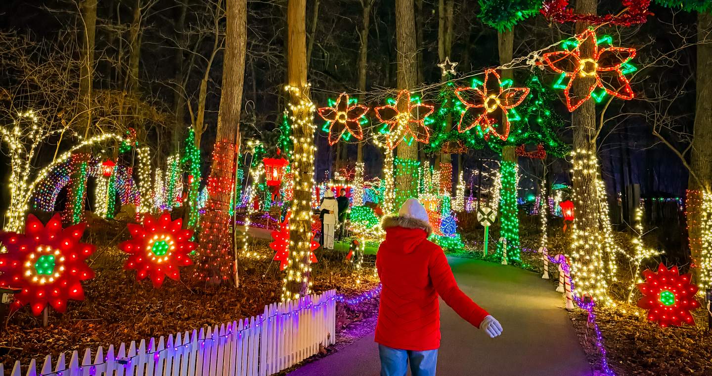 Christmas Landscape Lighting, Smart, LED | Haven Lighting Christmas Lights