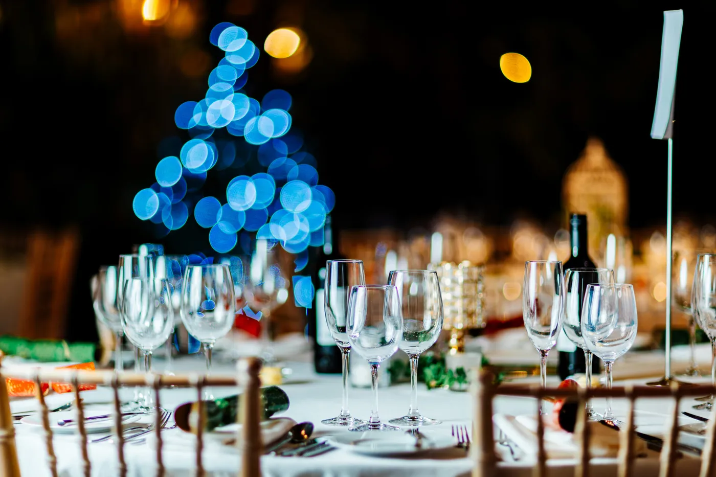 Christmas Party Night at Sefton Park Palm House - Dine
